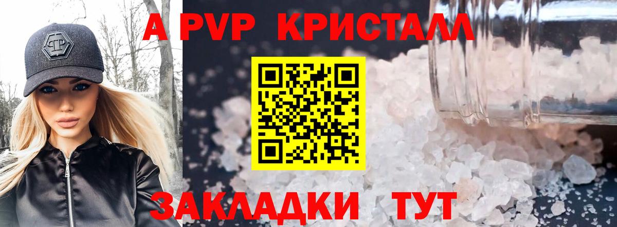 A PVP СК Норильск