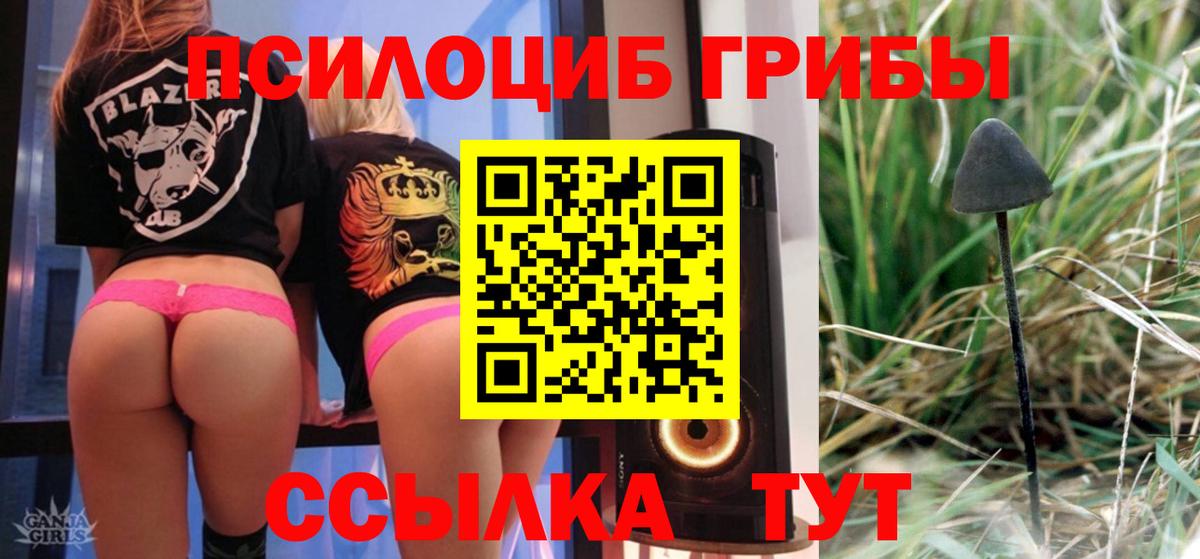 Псилоцибиновые грибы GOLDEN TEACHER  Вход с VPN  Норильск 
